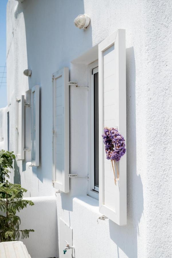 Spilia Apartments & Suites Mykonos Agrári Kültér fotó