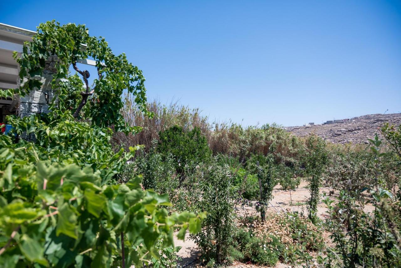 Spilia Apartments & Suites Mykonos Agrári Kültér fotó